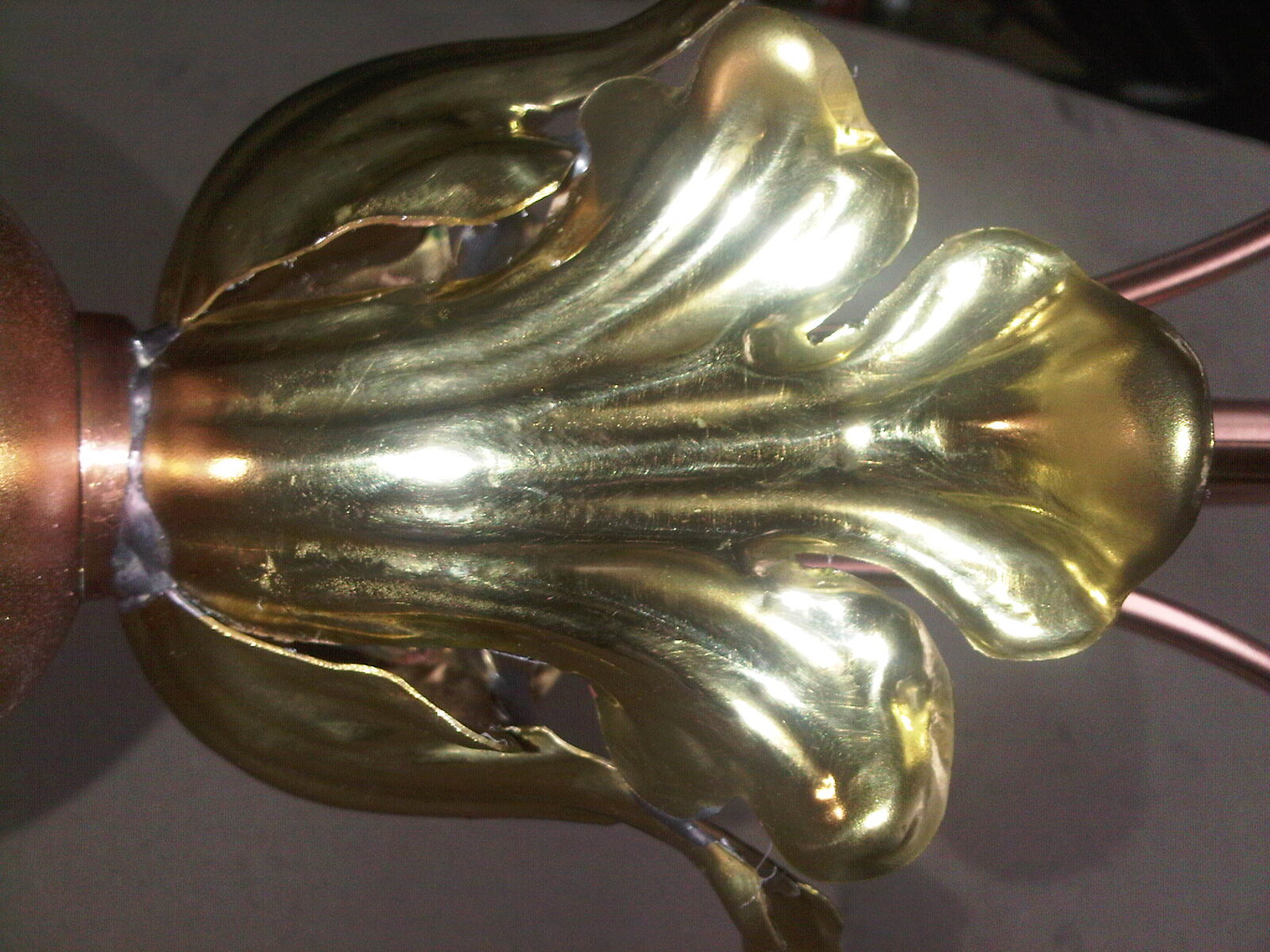 Feuillage ornemental en relief